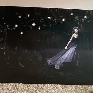 Taylor Swift | Accessories | Copy Taylor Swift Speak Now Era  